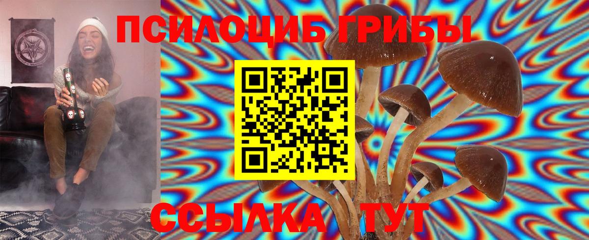Рассказово  Псилоцибиновые грибы Psilocybe  Галлюциногенные грибы ЛСД  Вход с VPN 