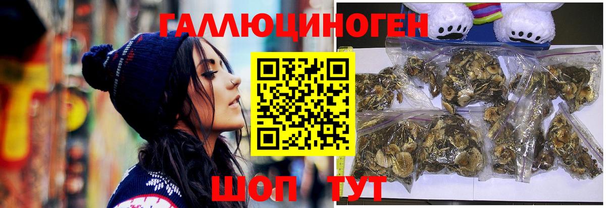 Псилоцибиновые грибы Psilocybine cubensis Рассказово